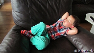 Miniature af billede nummer 2504