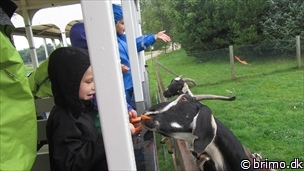 Miniature af billede nummer 2505