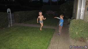 Miniature af billede nummer 2514