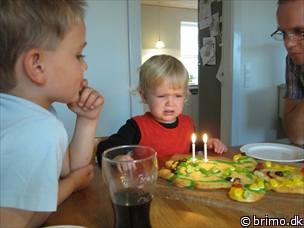 Miniature af billede nummer 2519