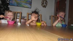 Miniature af billede nummer 2522