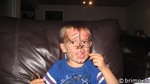 Miniature af billede nummer 2523