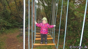 Miniature af billede nummer 2526