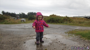 Miniature af billede nummer 2528