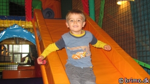 Miniature af billede nummer 2529