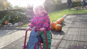 Miniature af billede nummer 2534