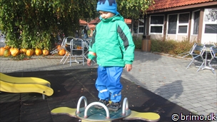 Miniature af billede nummer 2535