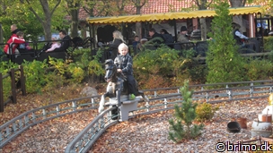 Miniature af billede nummer 2536