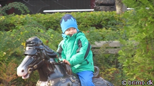 Miniature af billede nummer 2537