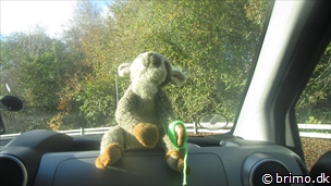 Miniature af billede nummer 2542