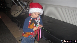 Miniature af billede nummer 2550