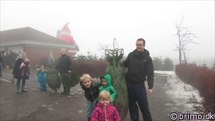 Miniature af billede nummer 2551