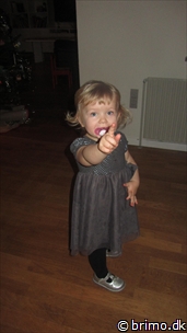 Miniature af billede nummer 2556