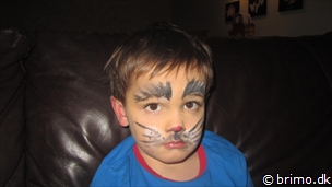 Miniature af billede nummer 2566