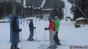 Miniature af billede nummer 2575