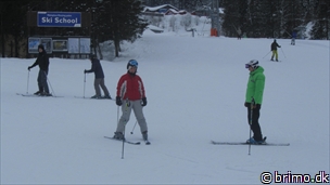 Miniature af billede nummer 2576