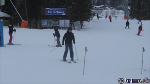 Miniature af billede nummer 2577