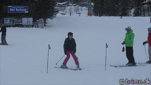 Miniature af billede nummer 2578