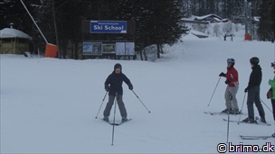 Miniature af billede nummer 2579