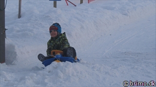 Miniature af billede nummer 2582