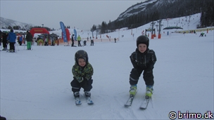 Miniature af billede nummer 2584