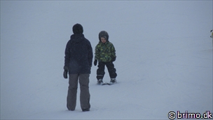 Miniature af billede nummer 2589