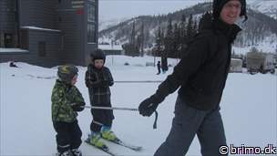 Miniature af billede nummer 2590