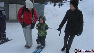 Miniature af billede nummer 2593