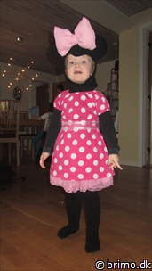 Miniature af billede nummer 2597