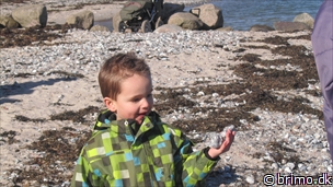 Miniature af billede nummer 2600