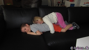 Miniature af billede nummer 2603