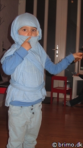 Miniature af billede nummer 2604