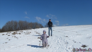 Miniature af billede nummer 2609