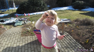 Miniature af billede nummer 2620