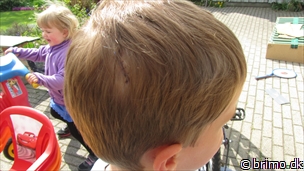 Miniature af billede nummer 2627