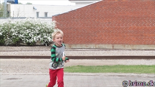 Miniature af billede nummer 2630