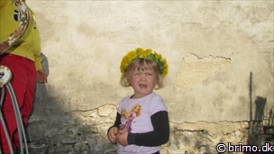 Miniature af billede nummer 2632