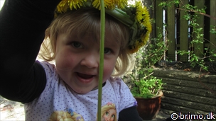 Miniature af billede nummer 2633