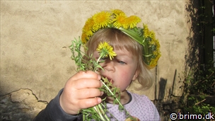 Miniature af billede nummer 2634