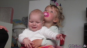 Miniature af billede nummer 2635