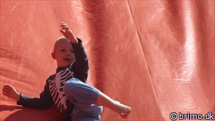 Miniature af billede nummer 2644