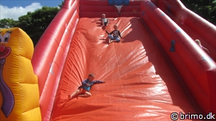 Miniature af billede nummer 2646