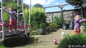 Miniature af billede nummer 2651