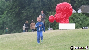 Miniature af billede nummer 2652