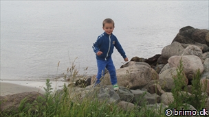 Miniature af billede nummer 2655