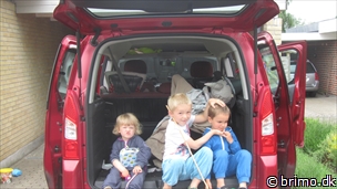 Miniature af billede nummer 2660