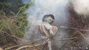 Miniature af billede nummer 2665