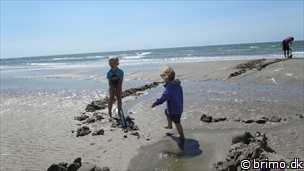 Miniature af billede nummer 2684