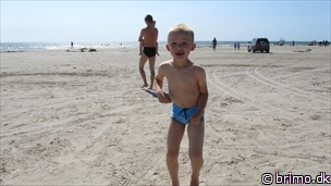 Miniature af billede nummer 2687