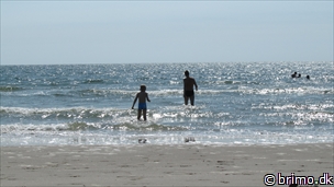 Miniature af billede nummer 2688